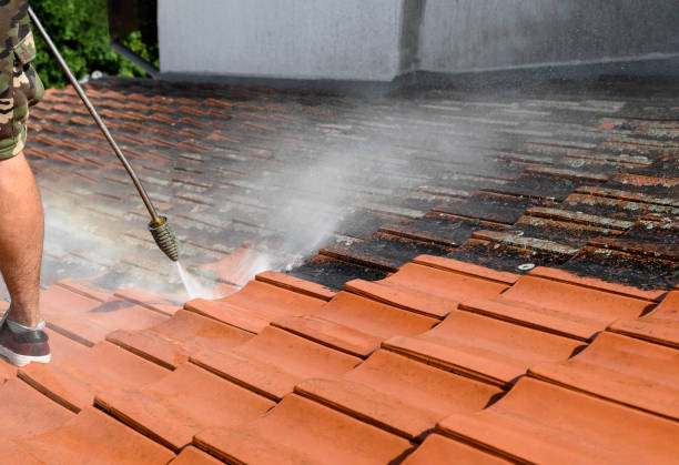 Best House Pressure Washing  in Rutherford, TN